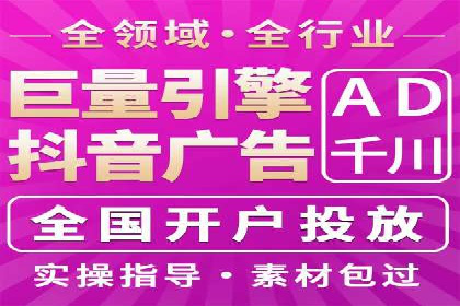 网络推广与竞价广告：双管齐下的策略案例